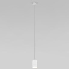 Светильник с плафонами белого цвета Eurosvet 50248/1 LED белый