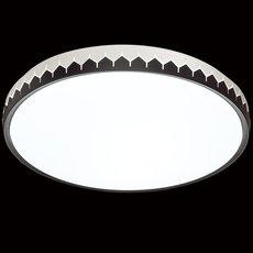 Светильник с арматурой чёрного цвета, плафонами белого цвета Sonex 3053/CL