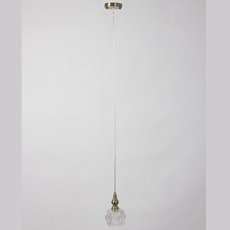 Светильник с стеклянными плафонами Abrasax CL.6444-1BR
