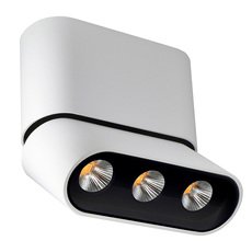Точечный светильник с арматурой белого цвета Lumien Hall 8005/3CS-WT-BK