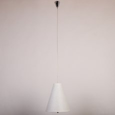 Светильник с арматурой хрома цвета, пластиковыми плафонами Abrasax CL.8301-1W