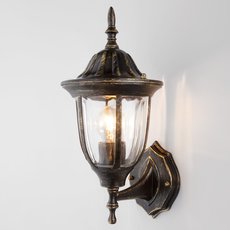 Светильник для уличного освещения с арматурой коричневого цвета, плафонами прозрачного цвета Elektrostandard 1002U черное золото / 9908-B (GL 1002U)
