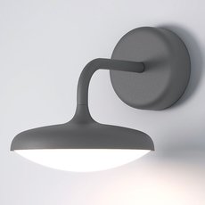 Светильник для уличного освещения с пластиковыми плафонами белого цвета Elektrostandard Portal серый (35162/D)