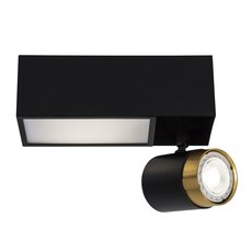 Светильник с арматурой чёрного цвета, плафонами чёрного цвета LED4U L2233-220 BK