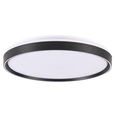 Светильник с арматурой чёрного цвета, плафонами белого цвета LED4U L3036-480 BK