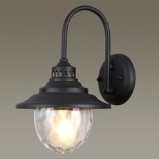 Светильник для уличного освещения с стеклянными плафонами прозрачного цвета Odeon Light 4836/1W
