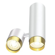 Светильник с металлическими плафонами Lumien Hall LH8020/2C-WT-GD