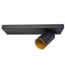 Точечный светильник с арматурой чёрного цвета, плафонами чёрного цвета Lumien Hall 8002/1W-BK-GD