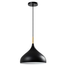 Светильник с арматурой чёрного цвета Moderli V1301-1P