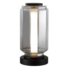 Настольная лампа с арматурой чёрного цвета, стеклянными плафонами Odeon Light 5408/10TL