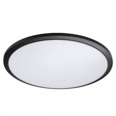 Светильник для ванной комнаты с арматурой чёрного цвета Novotech 359209