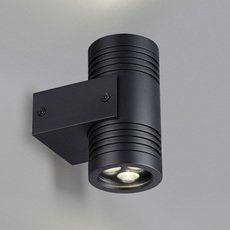 Светильник для уличного освещения с арматурой чёрного цвета Odeon Light 6648/12WL