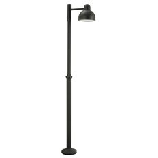 Светильник для уличного освещения с арматурой чёрного цвета, плафонами чёрного цвета Norlys 1914GR
