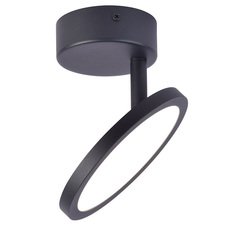 Точечный светильник с арматурой чёрного цвета Favourite 4118-1U