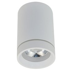 Точечный светильник с арматурой белого цвета, плафонами белого цвета Aployt APL.0053.09.10