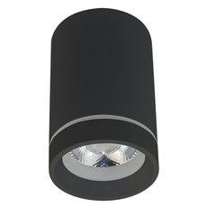 Точечный светильник с арматурой чёрного цвета Aployt APL.0053.19.10