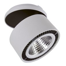 Светодиодный точечный светильник Lightstar 213829