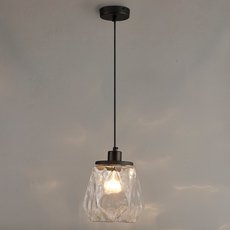 Светильник с арматурой чёрного цвета Odeon Light 4996/1