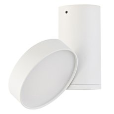Точечный светильник с металлическими плафонами Donolux DL18811/15W White R