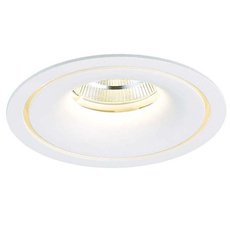 Точечный светильник с арматурой белого цвета, металлическими плафонами Donolux DL18616/01WW-R White