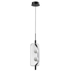 Светильник с арматурой чёрного цвета, стеклянными плафонами Arte Lamp A2341SP-2BK