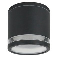 Светильник для уличного освещения с плафонами чёрного цвета Arte Lamp A1910PF-1BK
