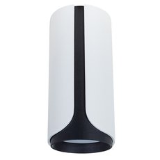 Точечный светильник с арматурой чёрного цвета Arte Lamp A7376PL-1WH