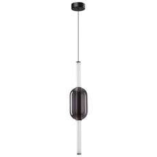 Светильник с арматурой чёрного цвета, стеклянными плафонами Arte Lamp A6837SP-12SM