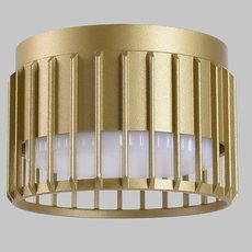 Точечный светильник с арматурой золотого цвета, плафонами золотого цвета IMEX IL.0005.2300-MG