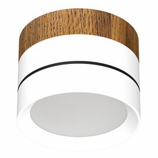 Точечный светильник с арматурой белого цвета LEDRON BARREL Wooden White