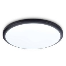 Светильник для ванной комнаты с арматурой чёрного цвета Ambrella Light FZ1233