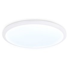 Светильник для ванной комнаты с арматурой белого цвета, плафонами белого цвета Ambrella Light FZ1231