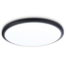 Светильник для ванной комнаты с арматурой чёрного цвета Ambrella Light FZ1234