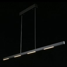 Светильник с металлическими плафонами чёрного цвета Aployt APL.051.03.28