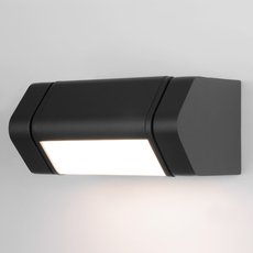 Светильник для уличного освещения с плафонами чёрного цвета Elektrostandard DORS D LED (35163/D) черный