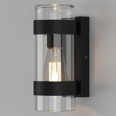 Светильник для уличного освещения с стеклянными плафонами Elektrostandard Falcon черный (35167/D)