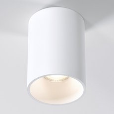 Точечный светильник с металлическими плафонами Elektrostandard 25011/01 GU10 белый