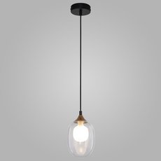 Светильник с арматурой чёрного цвета, стеклянными плафонами Eurosvet 70216/1