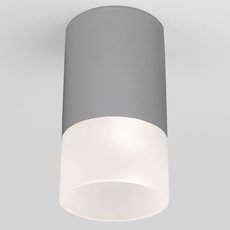 Светильник для уличного освещения Elektrostandard Light LED 2106 (35139/H) серый