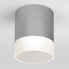 Светильник для уличного освещения с арматурой белого цвета, плафонами белого цвета Elektrostandard Light LED 2107 (35140/H) серый