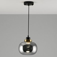Светильник с арматурой чёрного цвета Moderli V2070-P