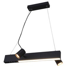 Светильник с металлическими плафонами чёрного цвета Vele Luce VL10142P02