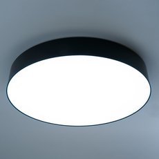 Светильник с арматурой чёрного цвета Feron 48067