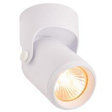Точечный светильник с арматурой белого цвета IMEX IL.0005.6115