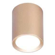 Точечный светильник с плафонами золотого цвета Ambrella Light TN216