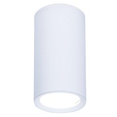 Точечный светильник с плафонами белого цвета Ambrella Light TN218