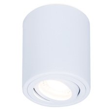 Точечный светильник с арматурой белого цвета Ambrella Light TN225