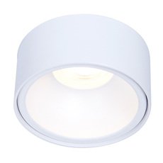 Точечный светильник с металлическими плафонами Ambrella Light TN145