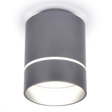 Точечный светильник с арматурой серого цвета, плафонами серого цвета Ambrella Light TN254