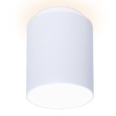 Точечный светильник с металлическими плафонами Ambrella Light TN261